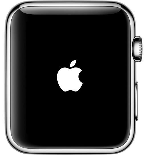 apple-watch-reset-screen